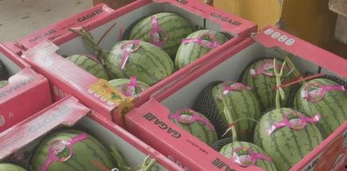 娱乐吃瓜酱礼物价格,价格背后的故事