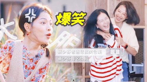 吃瓜吐槽娱乐圈博主